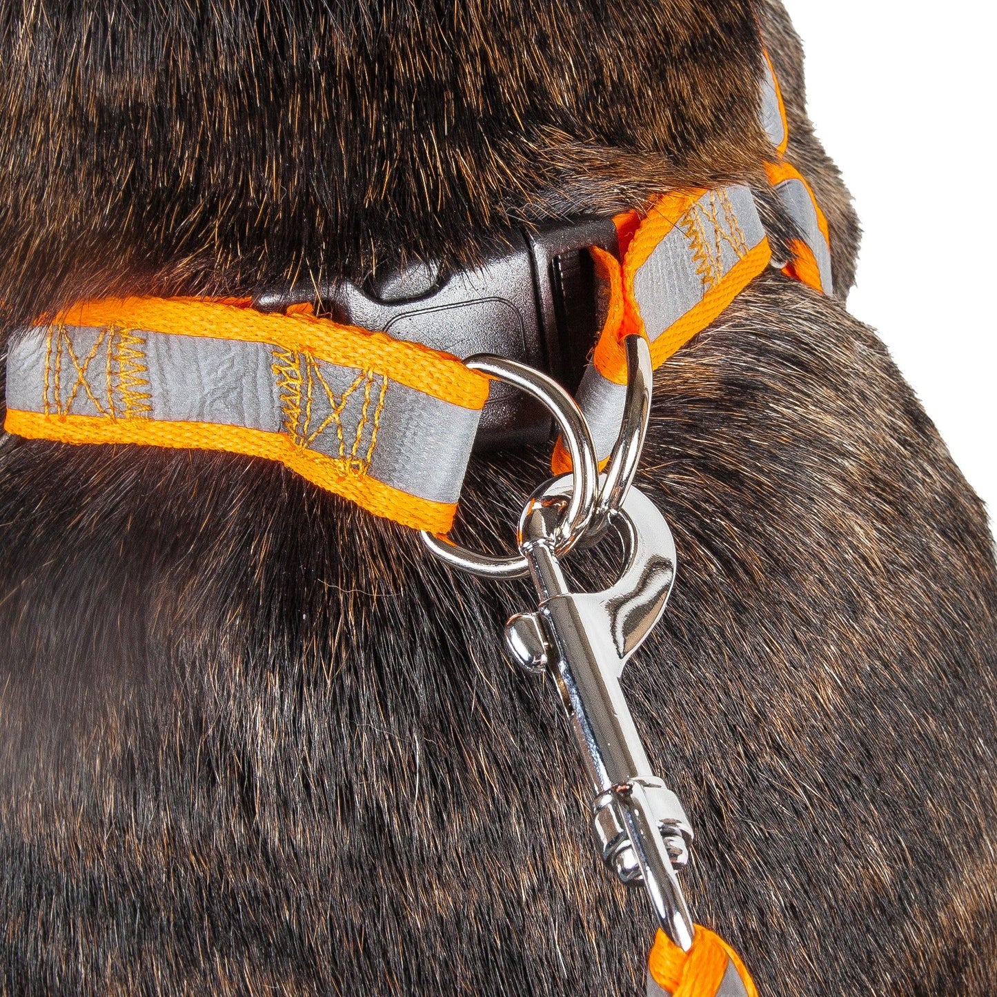 Reflective Stitched Easy Tension Adjustable 2-in-1 Dog Leash