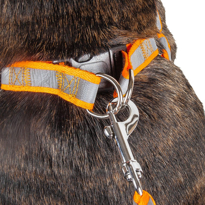 Reflective Stitched Easy Tension Adjustable 2-in-1 Dog Leash