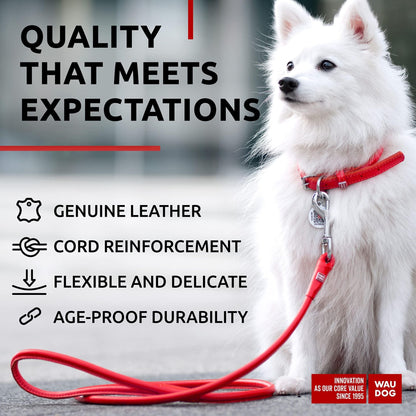 Rolled Leather Dog Leash 4Ft X 0.3 in for Small Medium Dogs