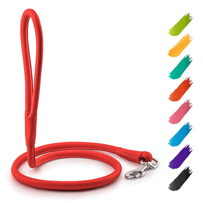 Rolled Leather Dog Leash 4Ft X 0.3 in for Small Medium Dogs