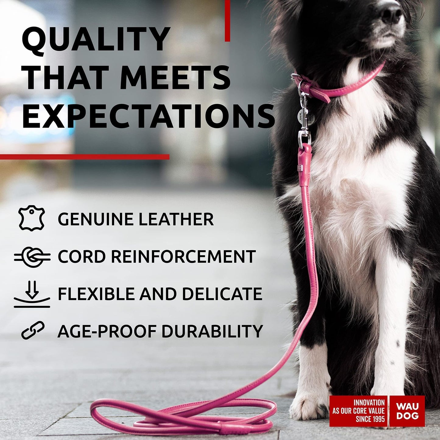 Rolled Leather Dog Leash 4Ft X 0.4 in for Small Medium