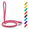 Waudog Rolled Leather Dog Leash 4Ft X 0.4 in for Small Medium