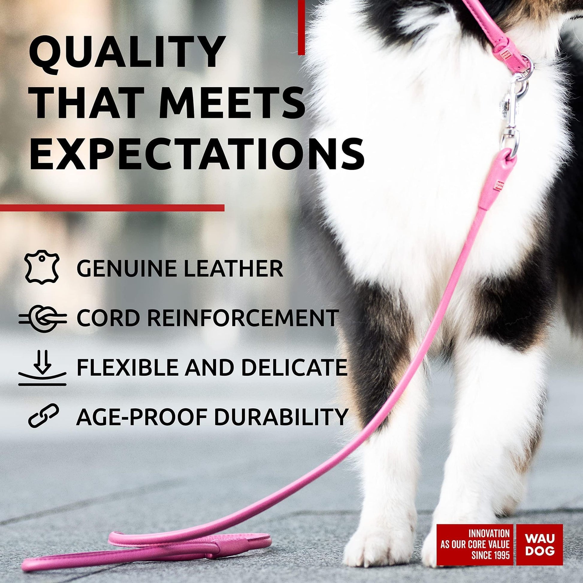 Rolled Leather Dog Leash 4Ft X 0.5 in for Small Medium