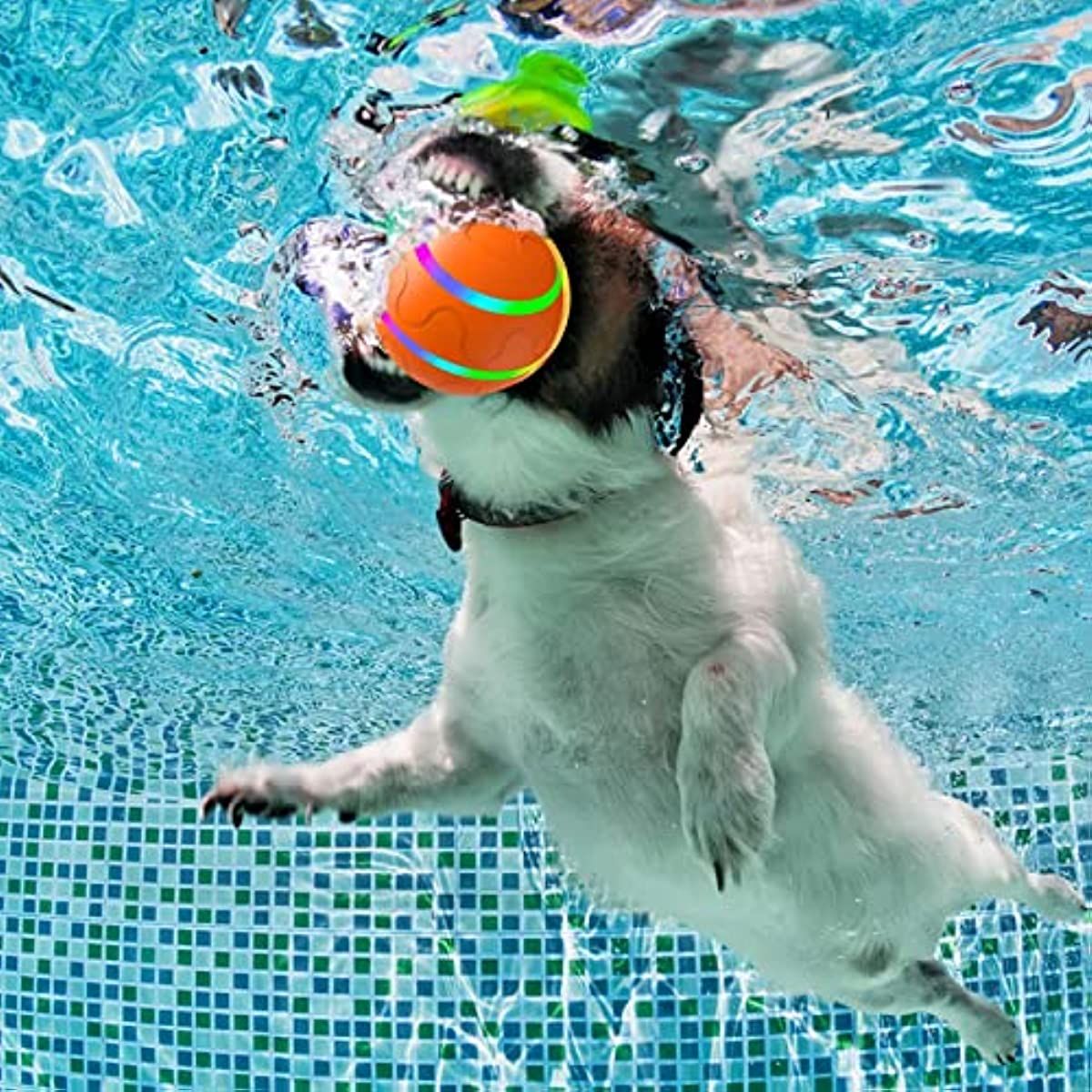 Rolling Ball for Dogs; Pet Dog Mental Stimulation Toys | Made
