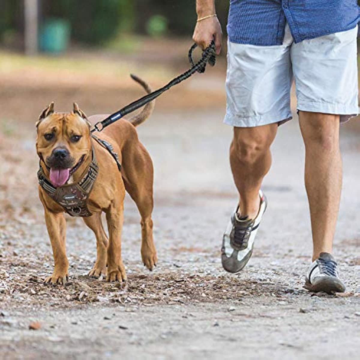 Tactical Dog Harness for Small Medium Dogs No Pull