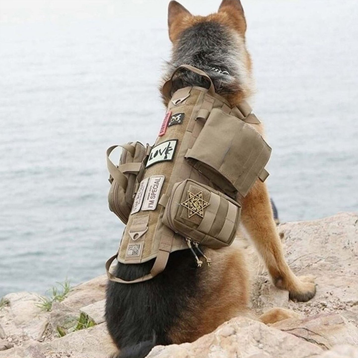 Tactical Dog Harness with Pouches; Adjustable Harness with 3