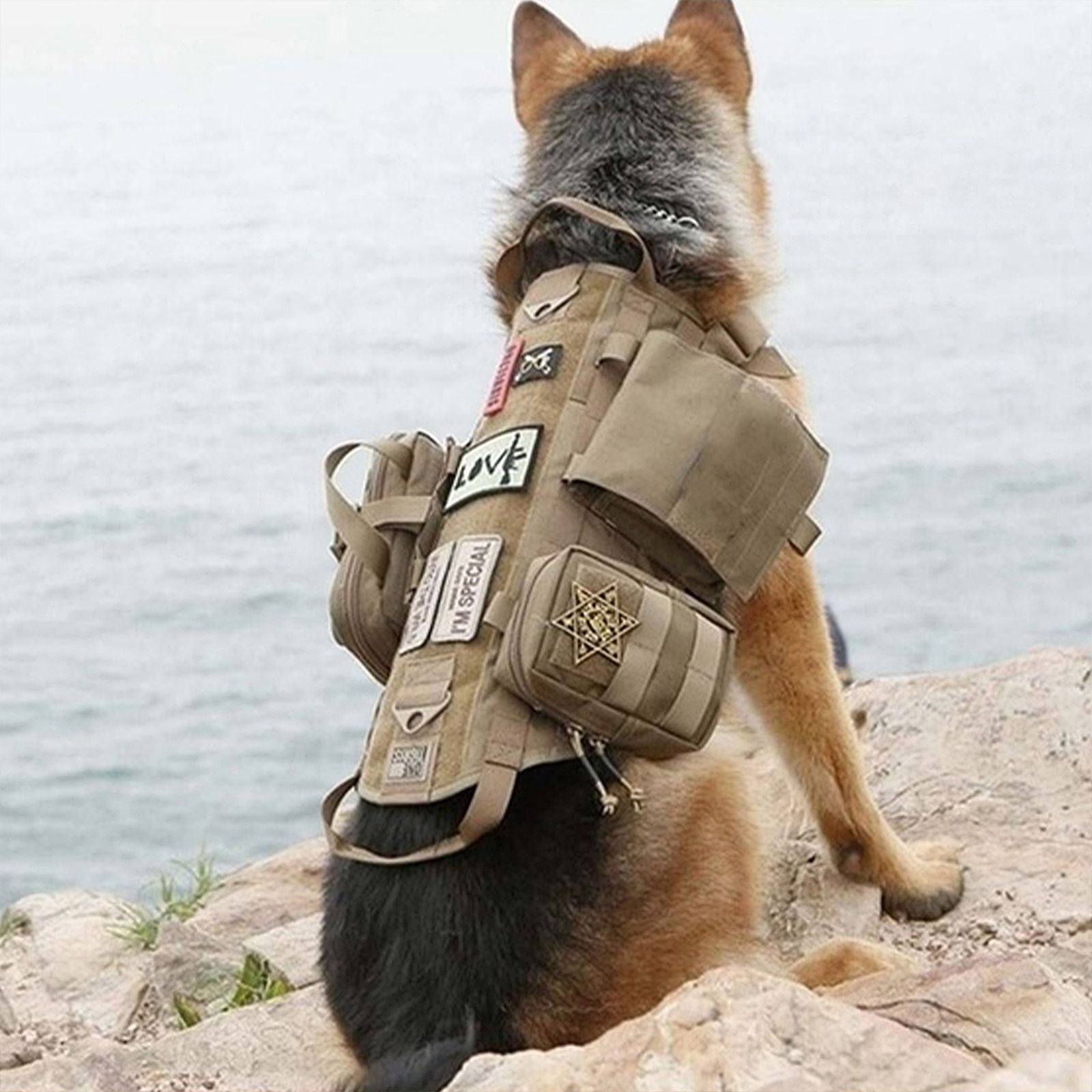 Tactical Dog Harness with Pouches; Adjustable Harness with 3