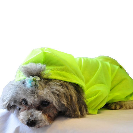 The Ultimate Waterproof Thunder-Paw Adjustable Zippered Folding