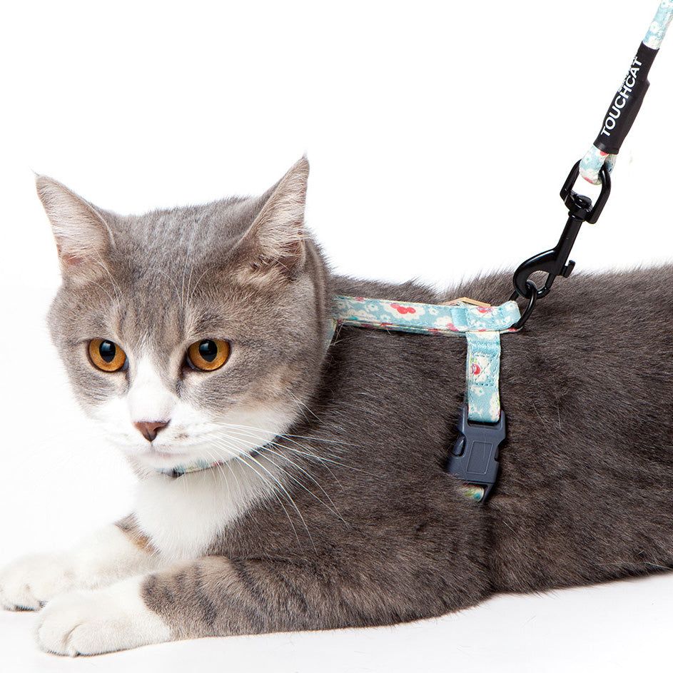 Touchcat Durable Cable Cat Harness and Leash Combo