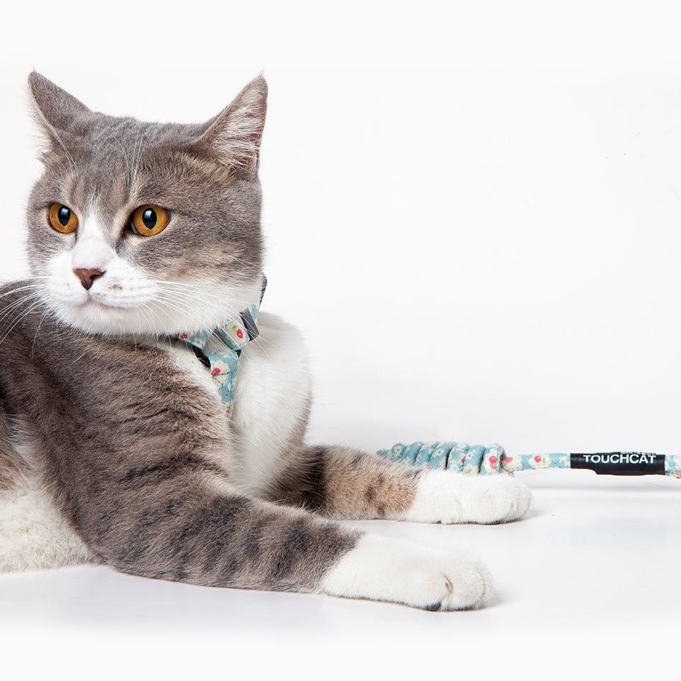 Touchcat Durable Cable Cat Harness and Leash Combo