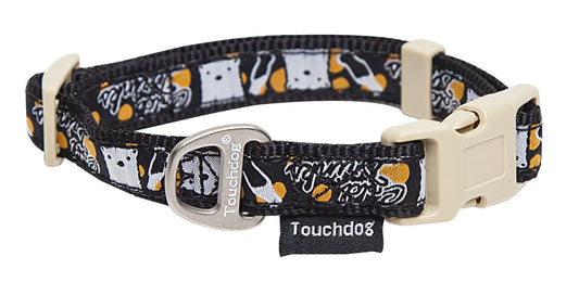 Designer Embroidered Fashion Pet Dog Leash and Collar Combination
