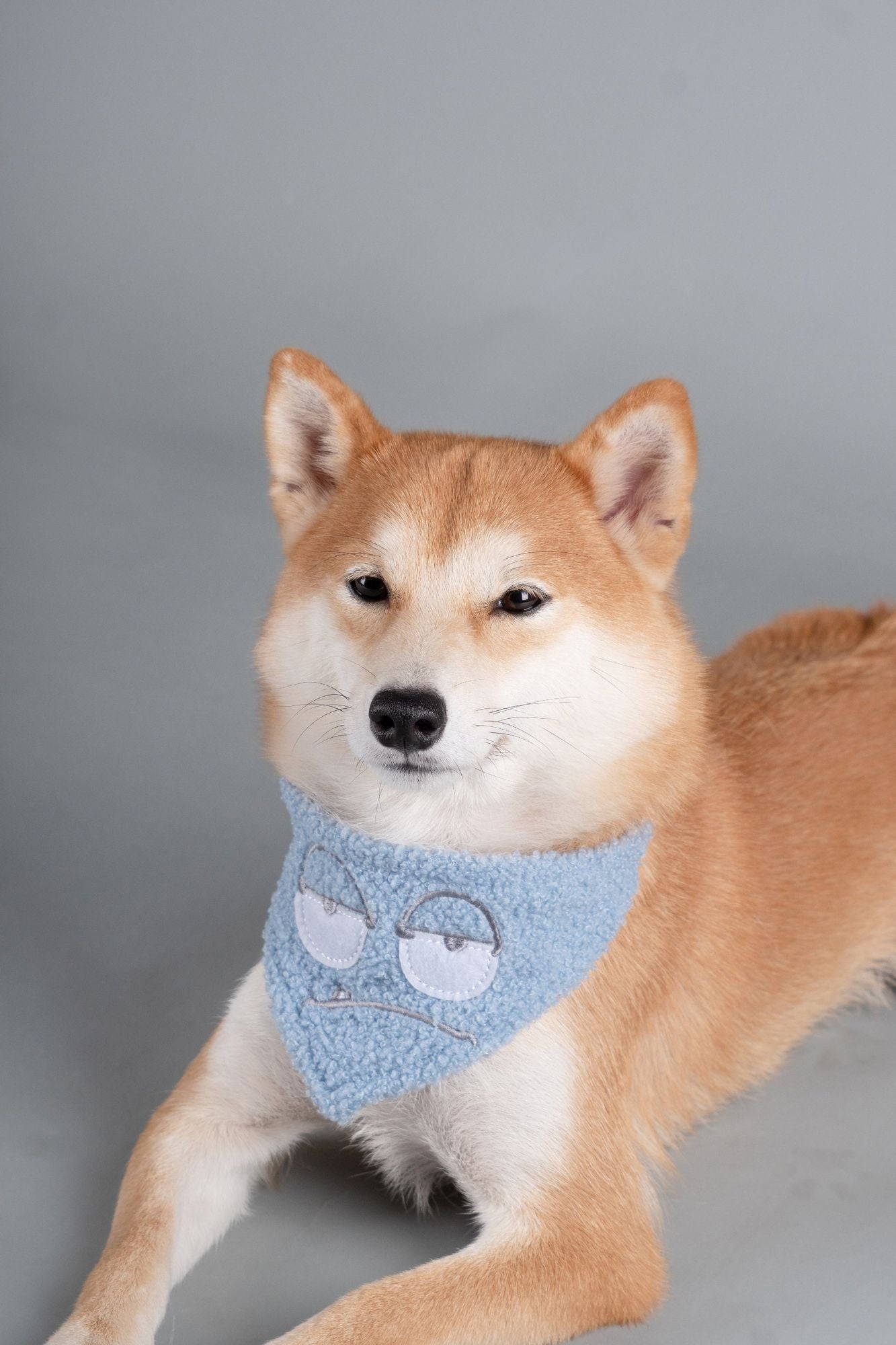 Touchdog Cotton Velcro Dog Bandana and Scarf
