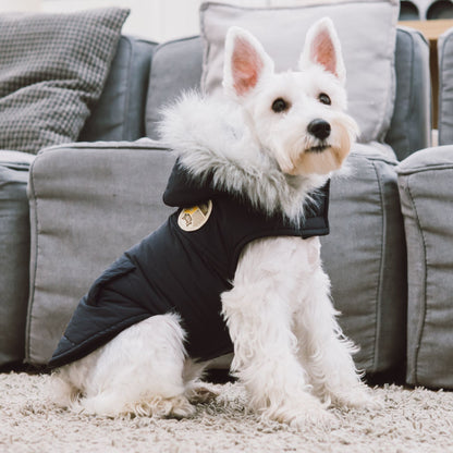 Touchdog Duck-Down Parka Dog Coat