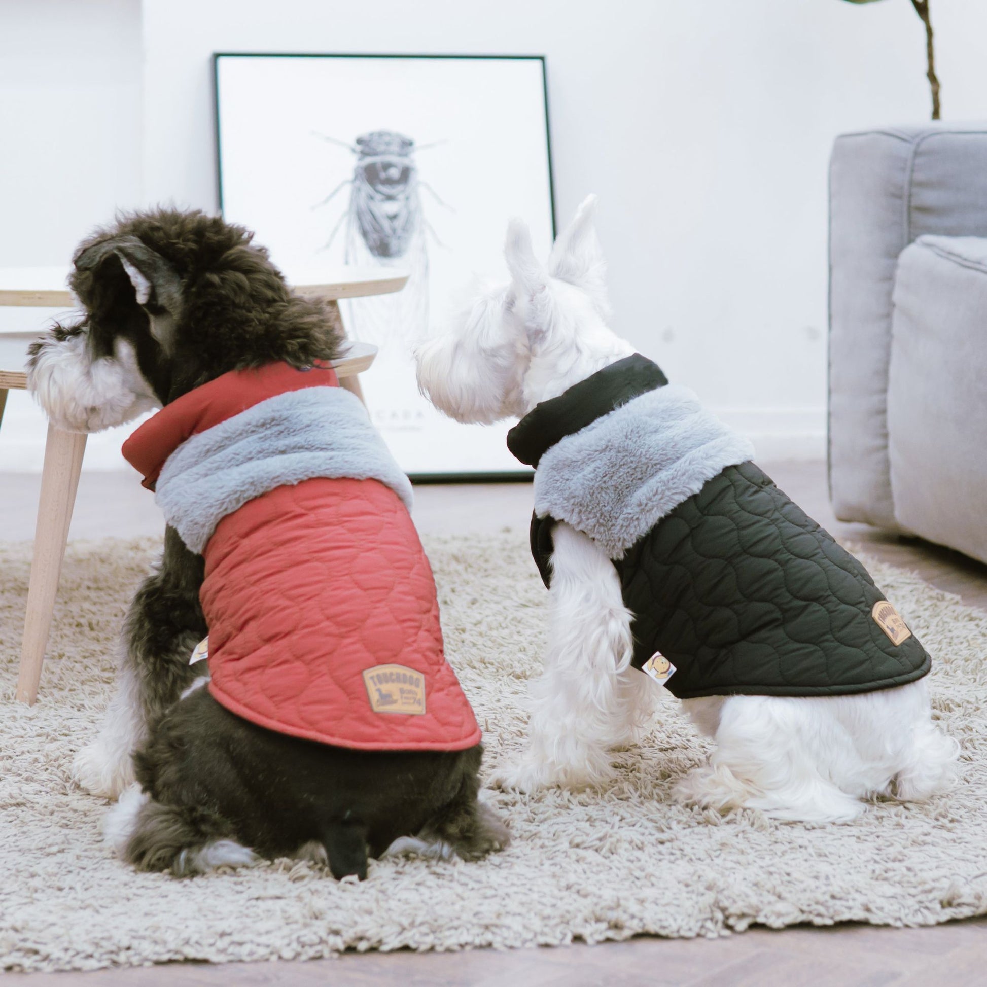 Fur and Fleece Fashion Dog Jacket