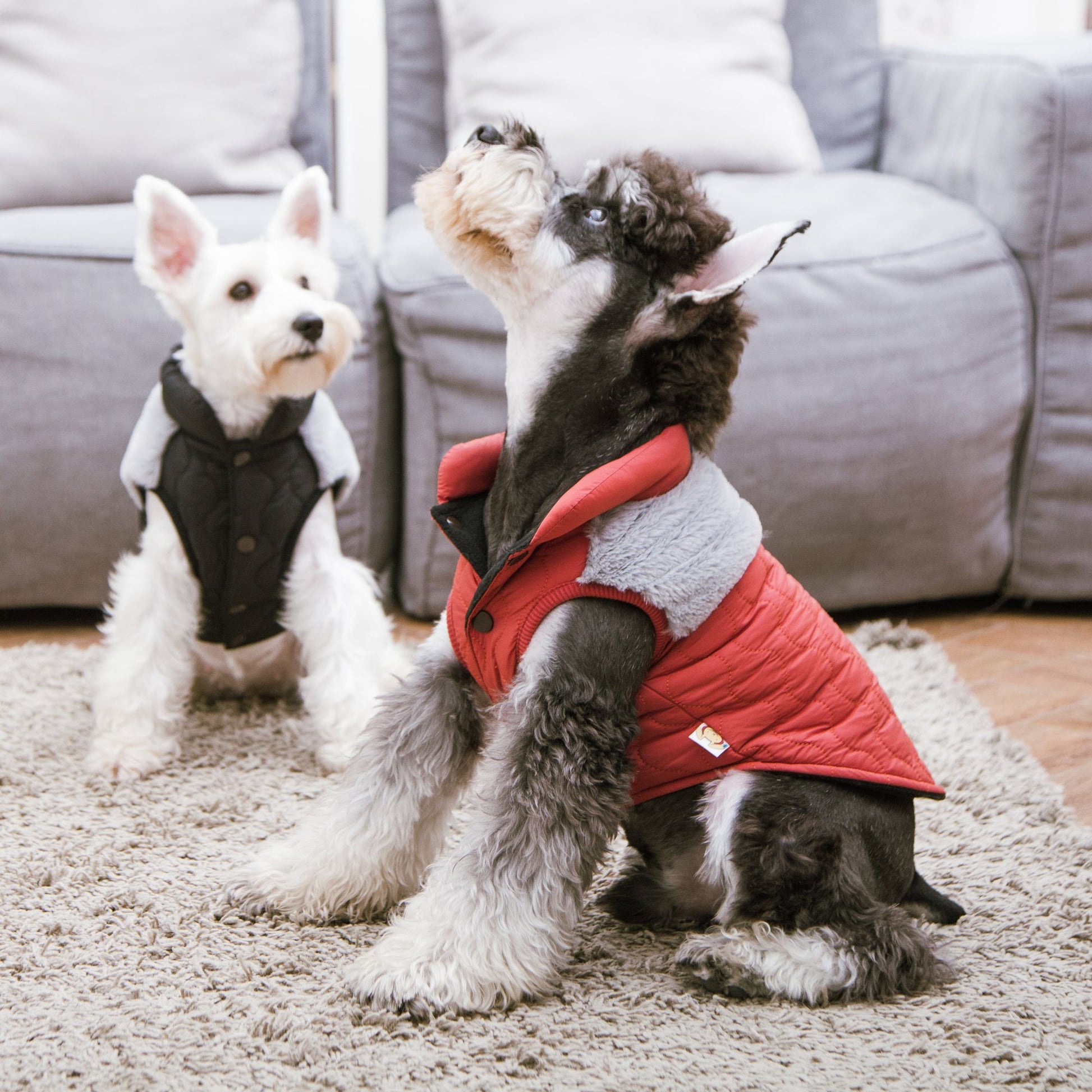 Fur and Fleece Fashion Dog Jacket