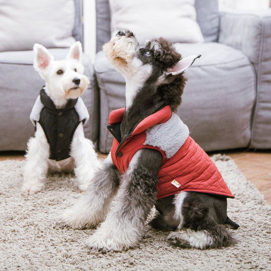 Fur and Fleece Fashion Dog Jacket
