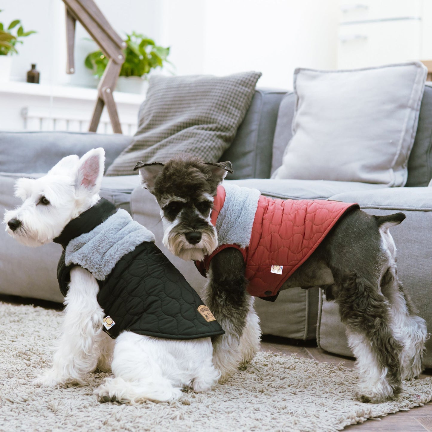 Fur and Fleece Fashion Dog Jacket