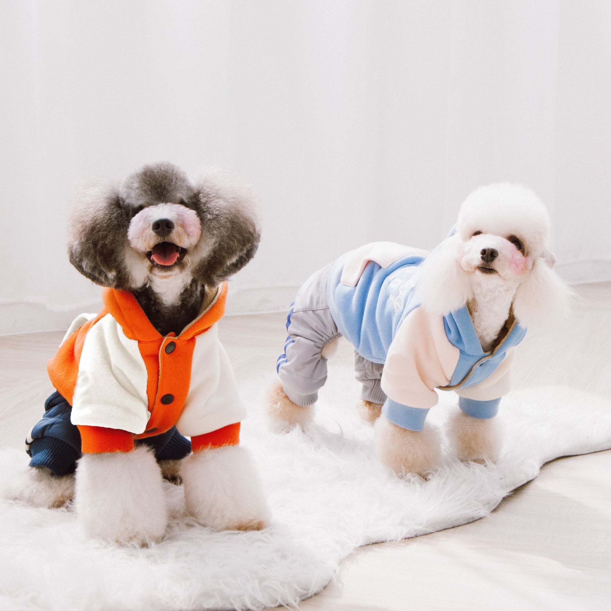 Soft-Cotton Fashion Dog Hoodie