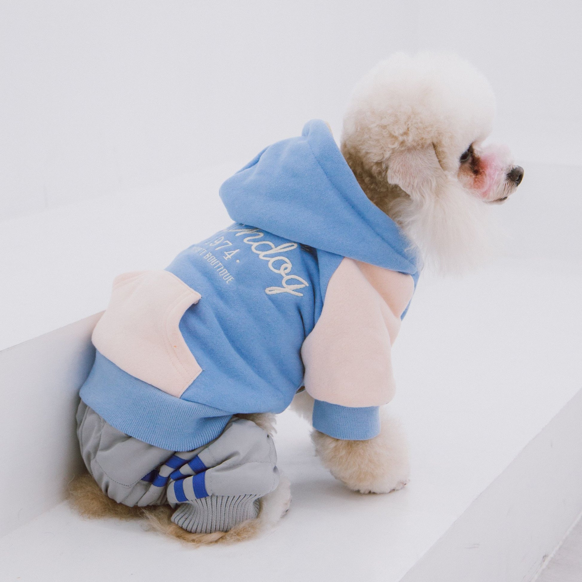 Soft-Cotton Fashion Dog Hoodie