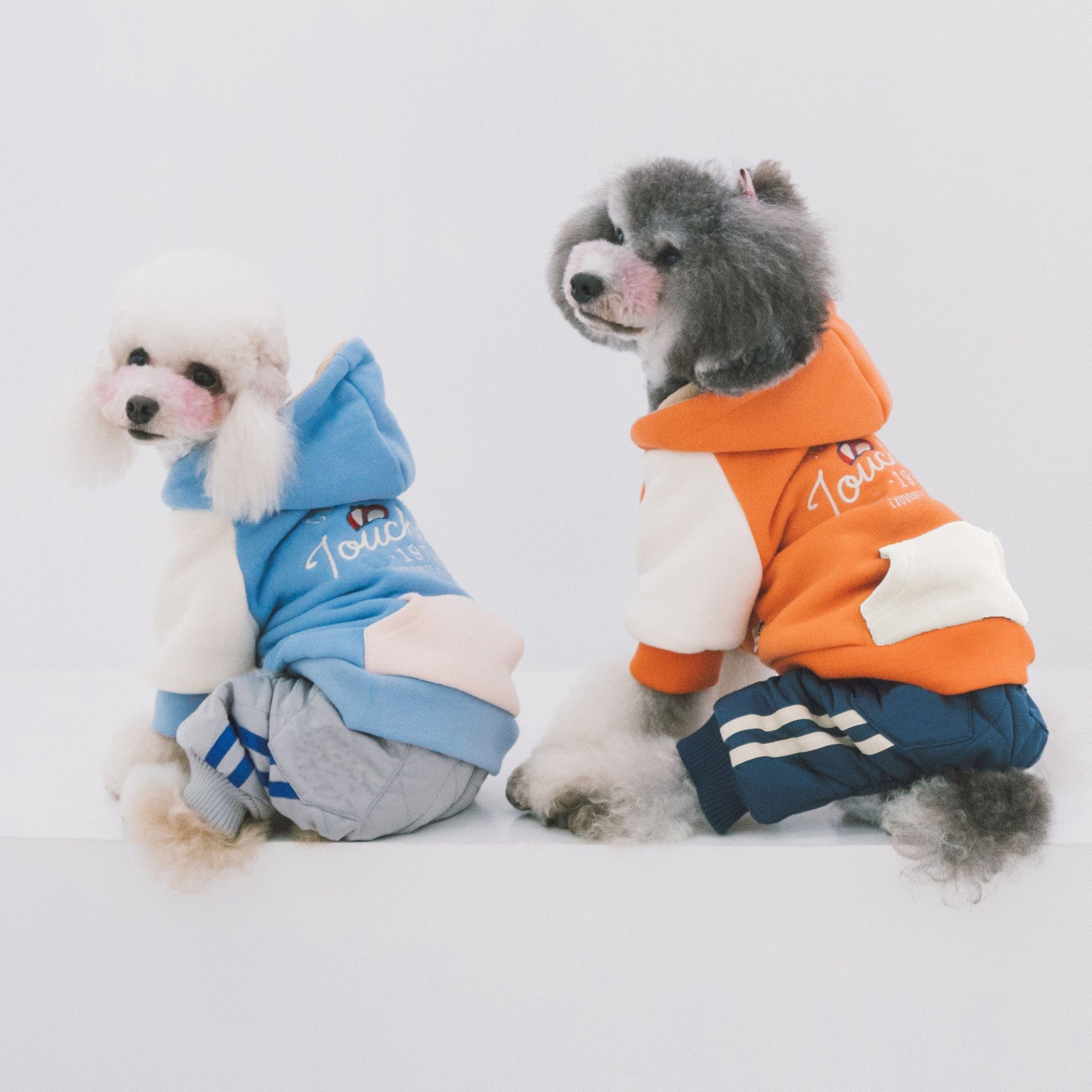 Soft-Cotton Fashion Dog Hoodie