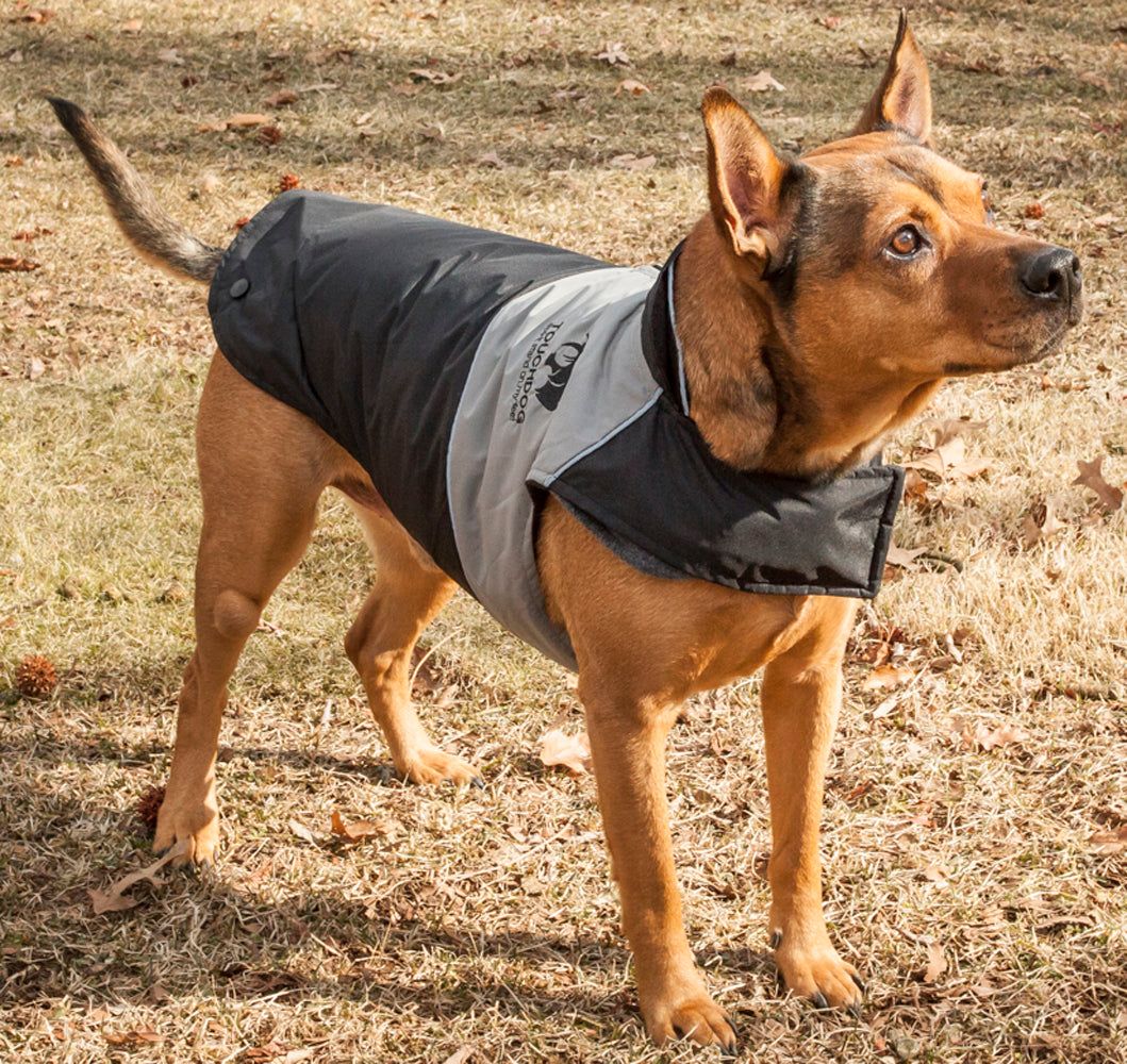 Lightening-Shield Waterproof 2-in-1 Convertible Dog Jacket