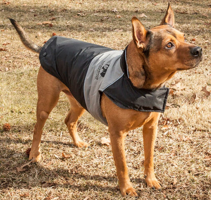 Lightening-Shield Waterproof 2-in-1 Convertible Dog Jacket