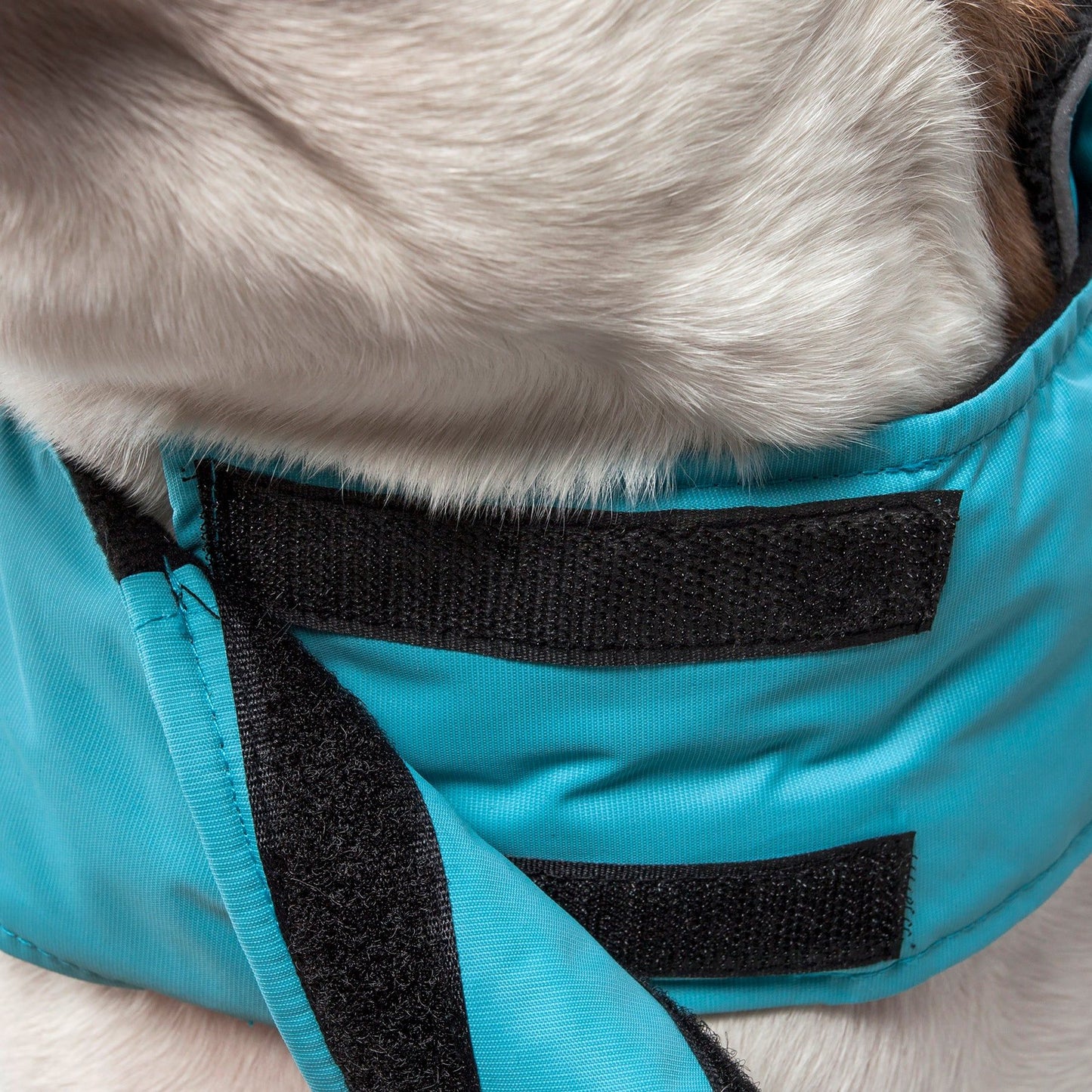 Touchdog Lightening-Shield Waterproof 2-in-1 Convertible Dog Jacket