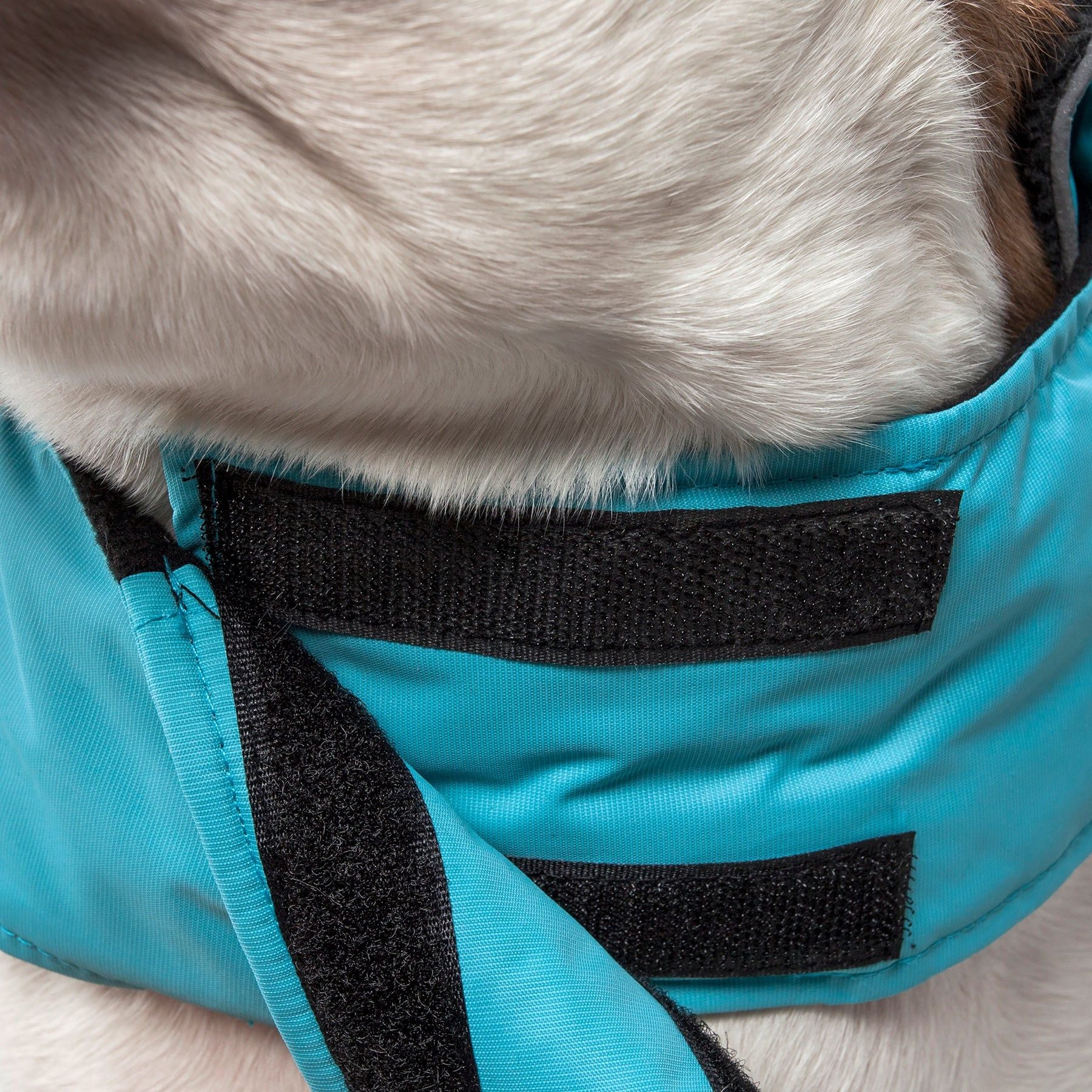 Touchdog Lightening-Shield Waterproof 2-in-1 Convertible Dog Jacket
