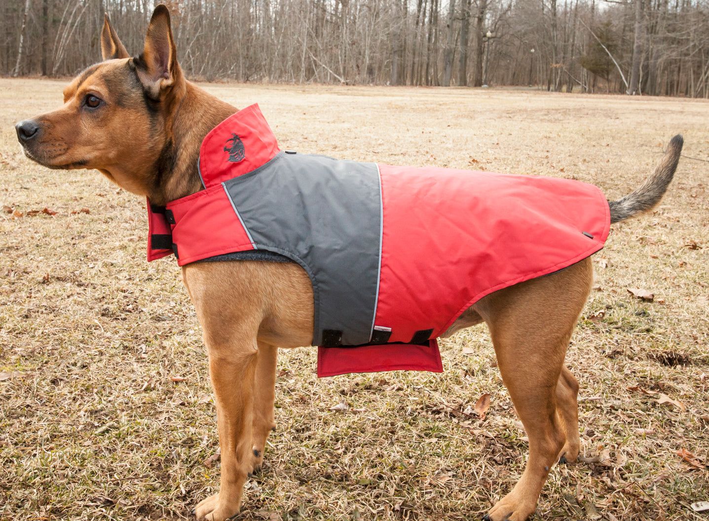 Touchdog Lightening-Shield Waterproof 2-in-1 Convertible Dog Jacket
