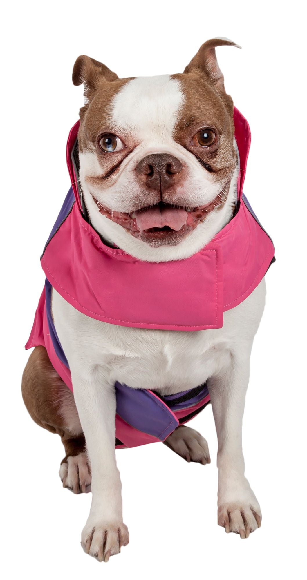 Touchdog Lightening-Shield Waterproof 2-in-1 Convertible Dog Jacket