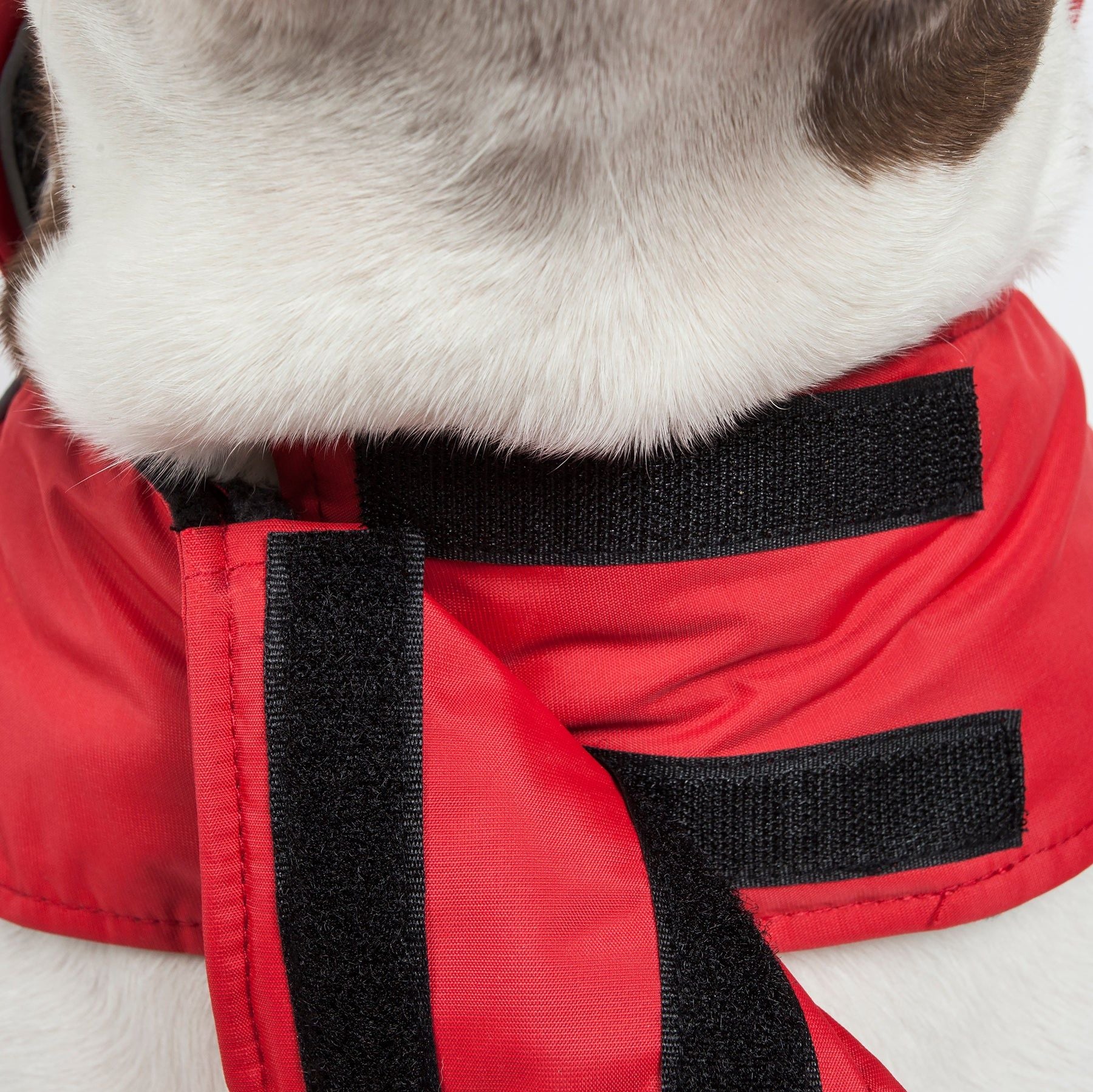 Touchdog Lightening-Shield Waterproof 2-in-1 Convertible Dog Jacket