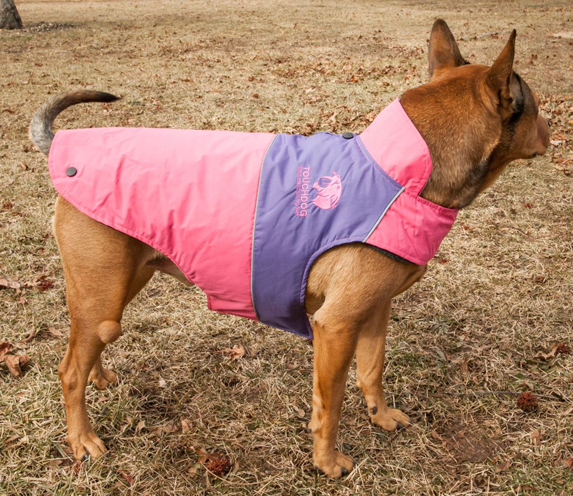 Touchdog Lightening-Shield Waterproof 2-in-1 Convertible Dog Jacket