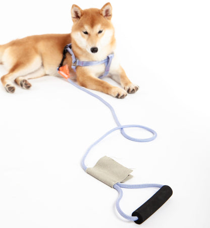 2-in-1 Durable Nylon Dog Harness and Leash