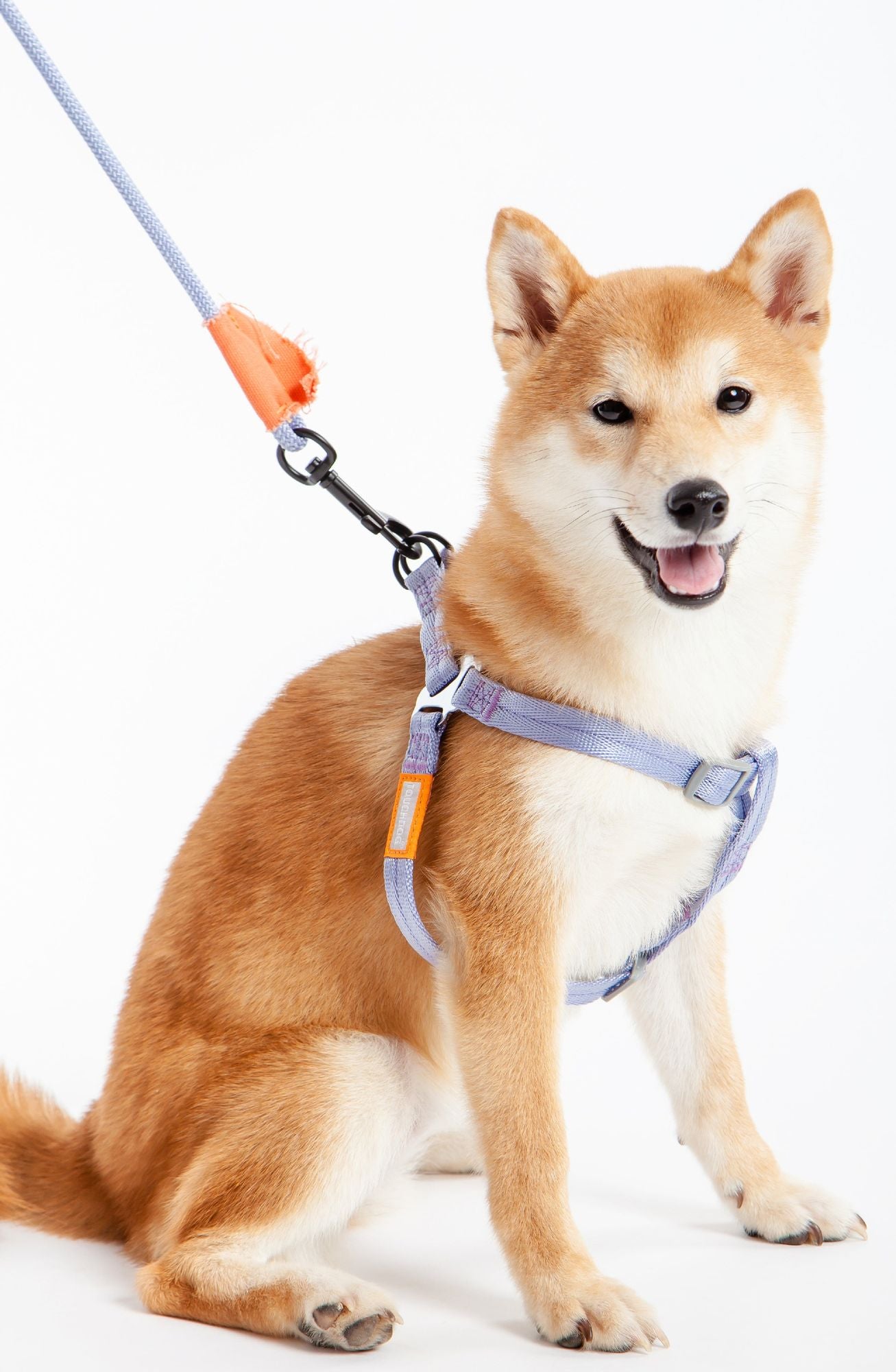2-in-1 Durable Nylon Dog Harness and Leash