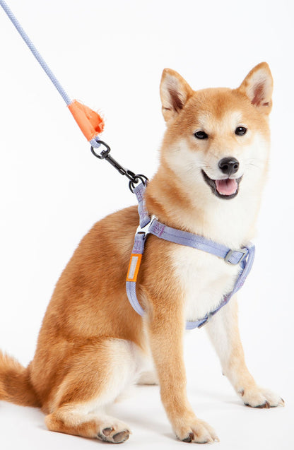 2-in-1 Durable Nylon Dog Harness and Leash