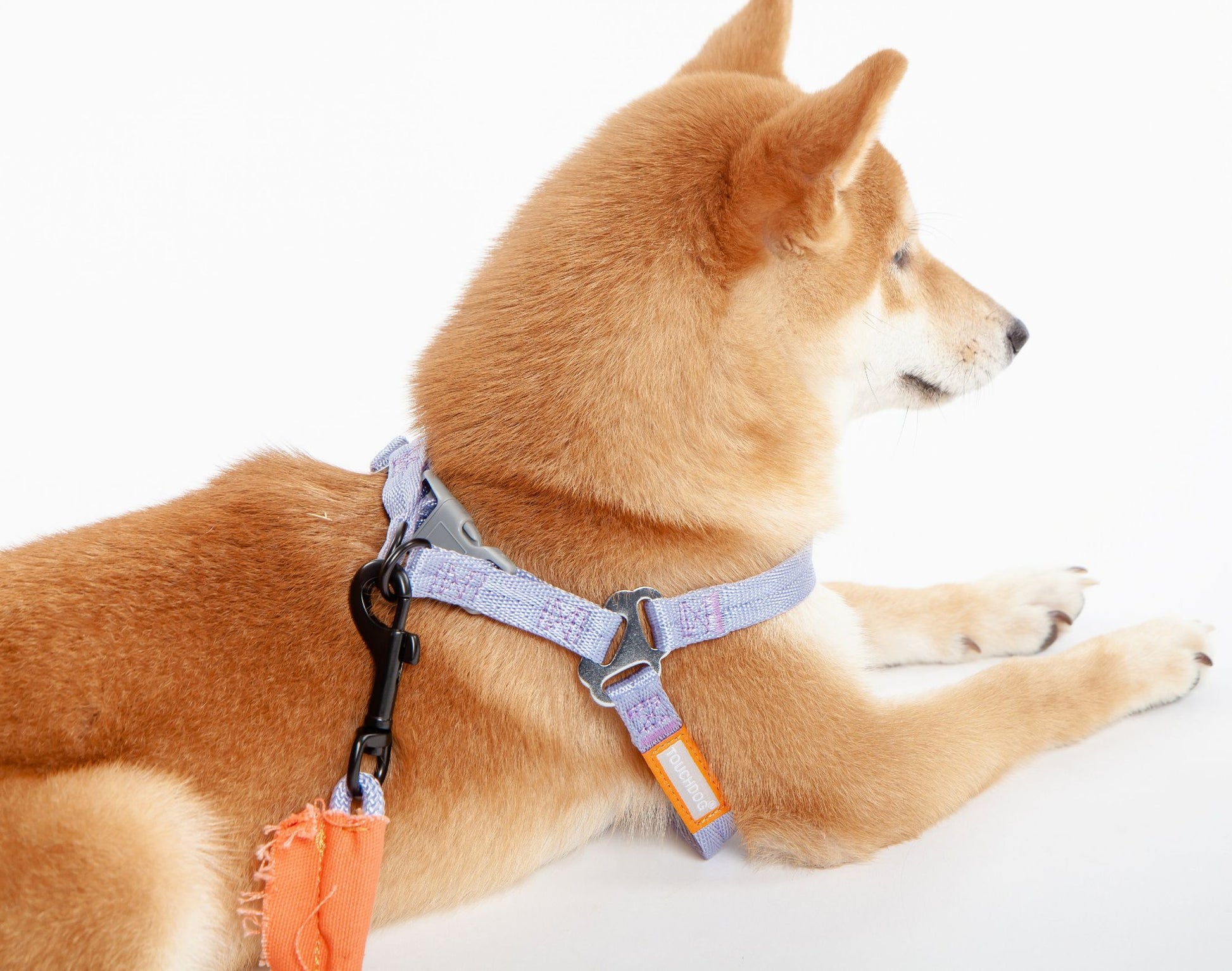 2-in-1 Durable Nylon Dog Harness and Leash