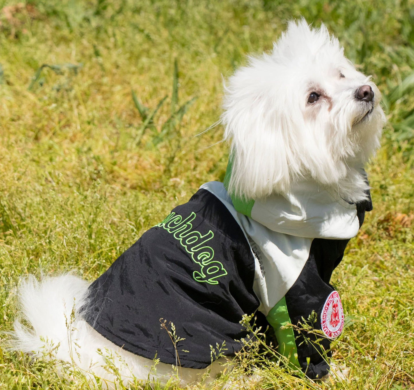 Mount Pinnacle Pet Ski Jacket