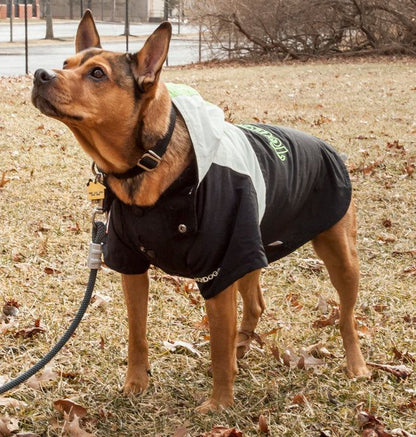 Mount Pinnacle Pet Ski Jacket
