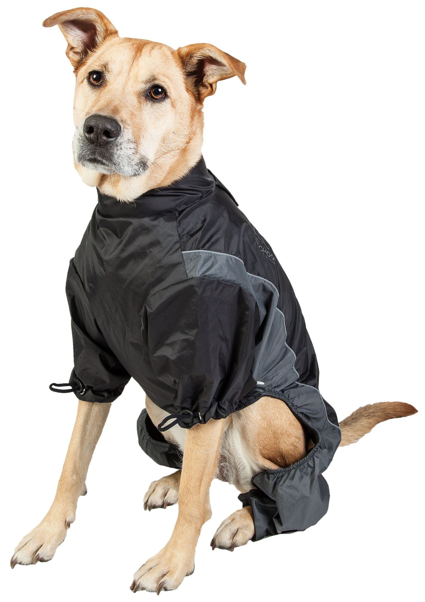 Quantum-Ice Full-Bodied Adjustable and 3M Reflective Dog Jacket