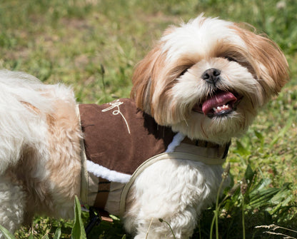 Touchdog Tough-Boutique Adjustable Fashion Dog Harness and Leash