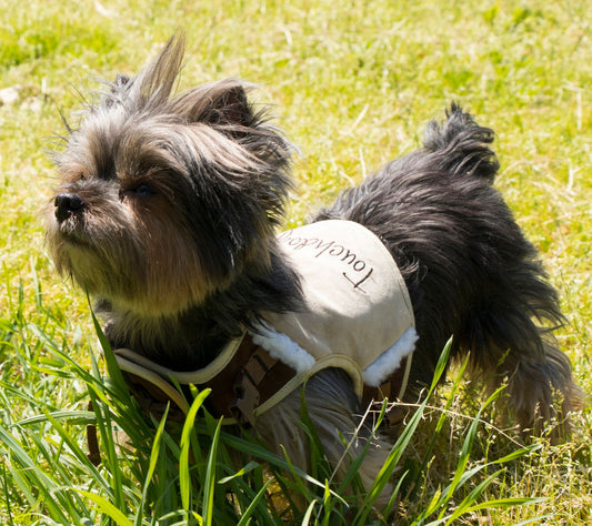Touchdog Tough-Boutique Adjustable Fashion Dog Harness and Leash