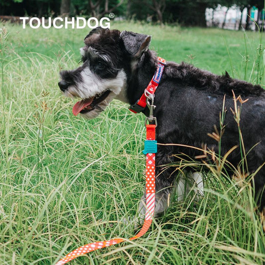 Touchdog 2-in-1 Matching Fashion Designer Printed Dog Leash and Collar