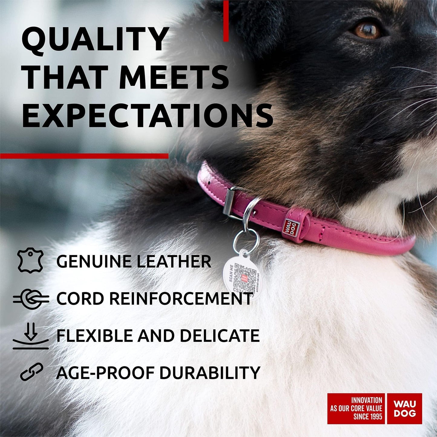 Ultra Soft Rolled Leather Dog Collar Soft Padded Dog Collars
