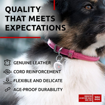 Ultra Soft Rolled Leather Dog Collar Soft Padded Dog Collars