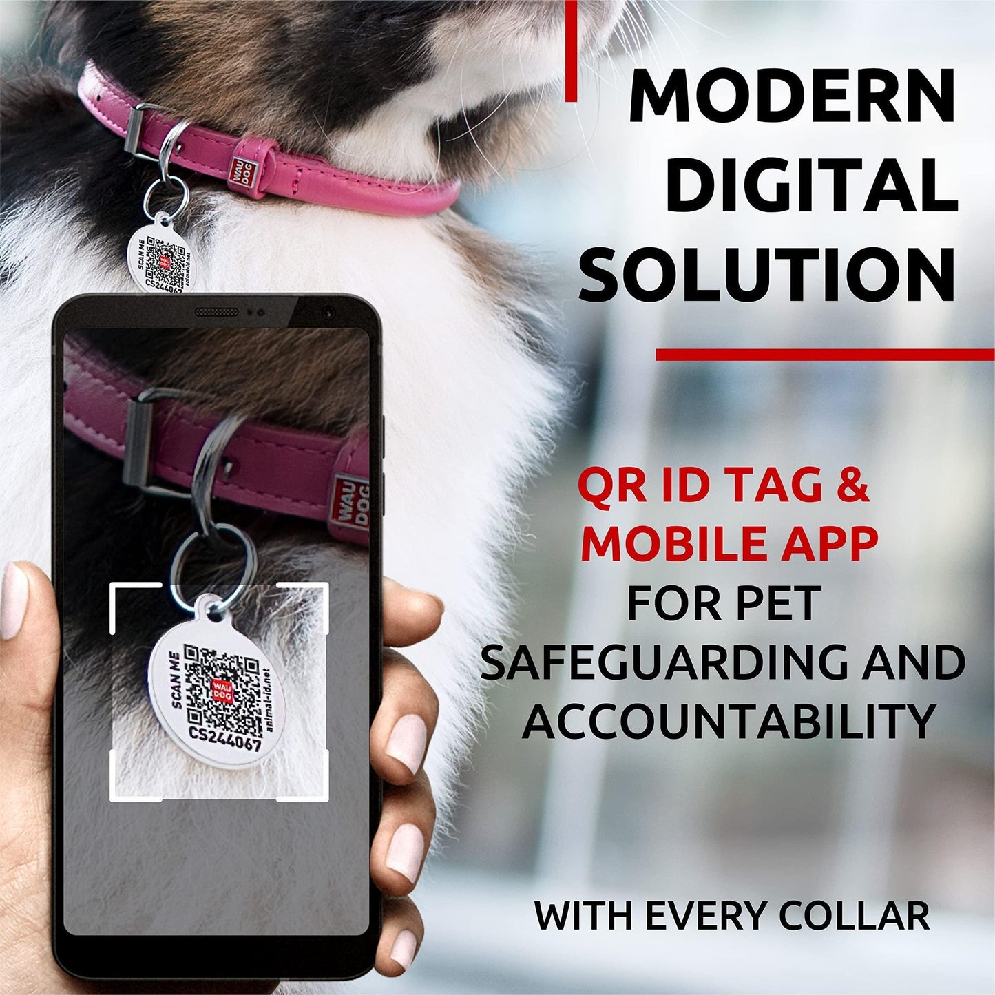 Ultra Soft Rolled Leather Dog Collar Soft Padded Dog Collars