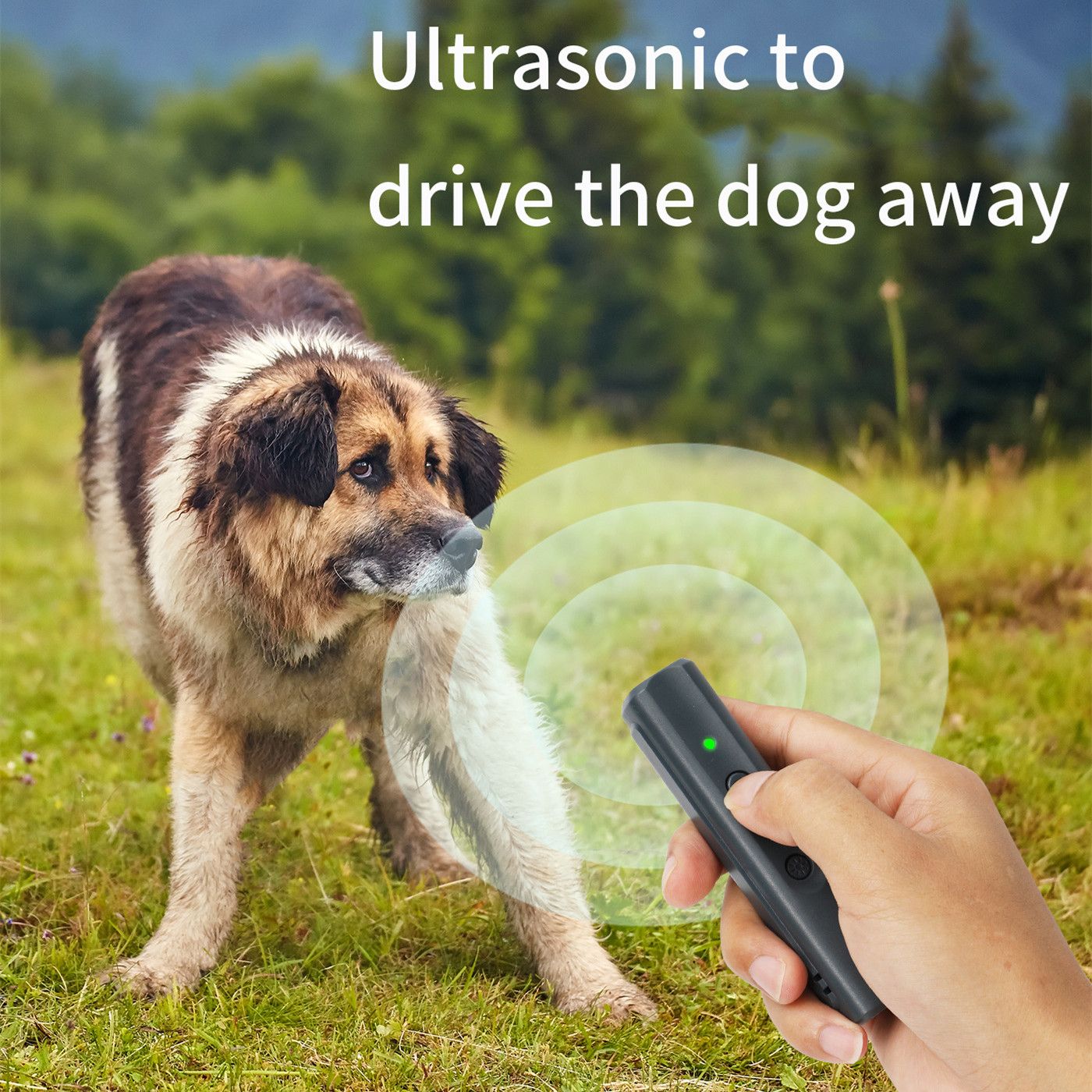 Ultrasonic Dog Barking Control Devices Rechargeable Safe Dog Bark