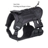 Universal Outdoor Dog Harness with Pet Leash and Snap Shackle