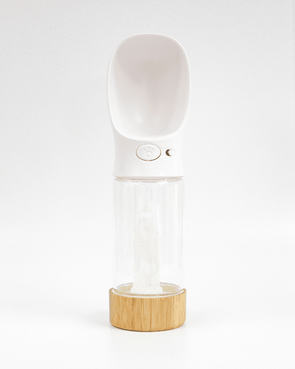 Urban Oasis - Crystal Infused Pet Water Bottle