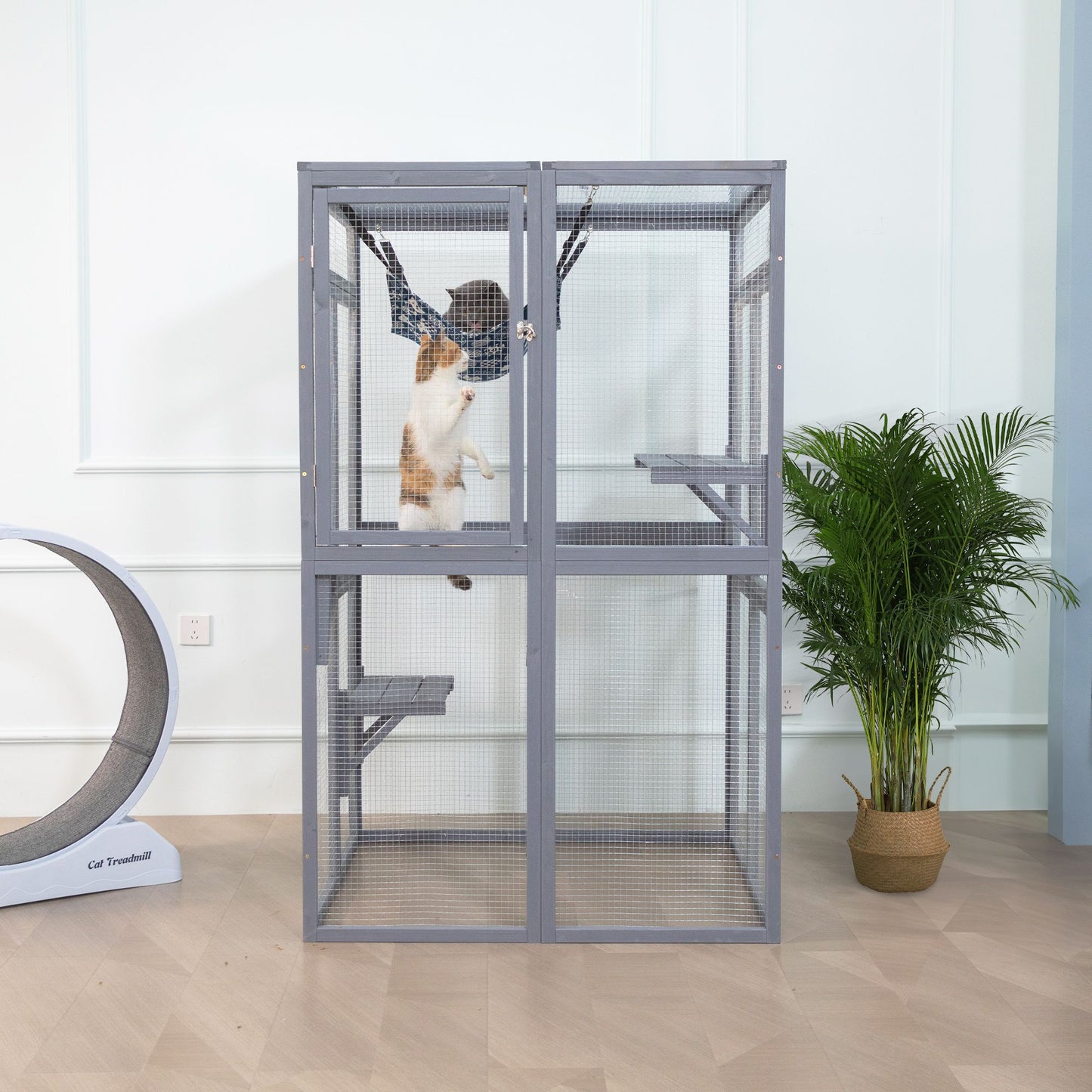 Wooden Cat Catio, Outdoor Cat Enclosure, Cat House with Platforms