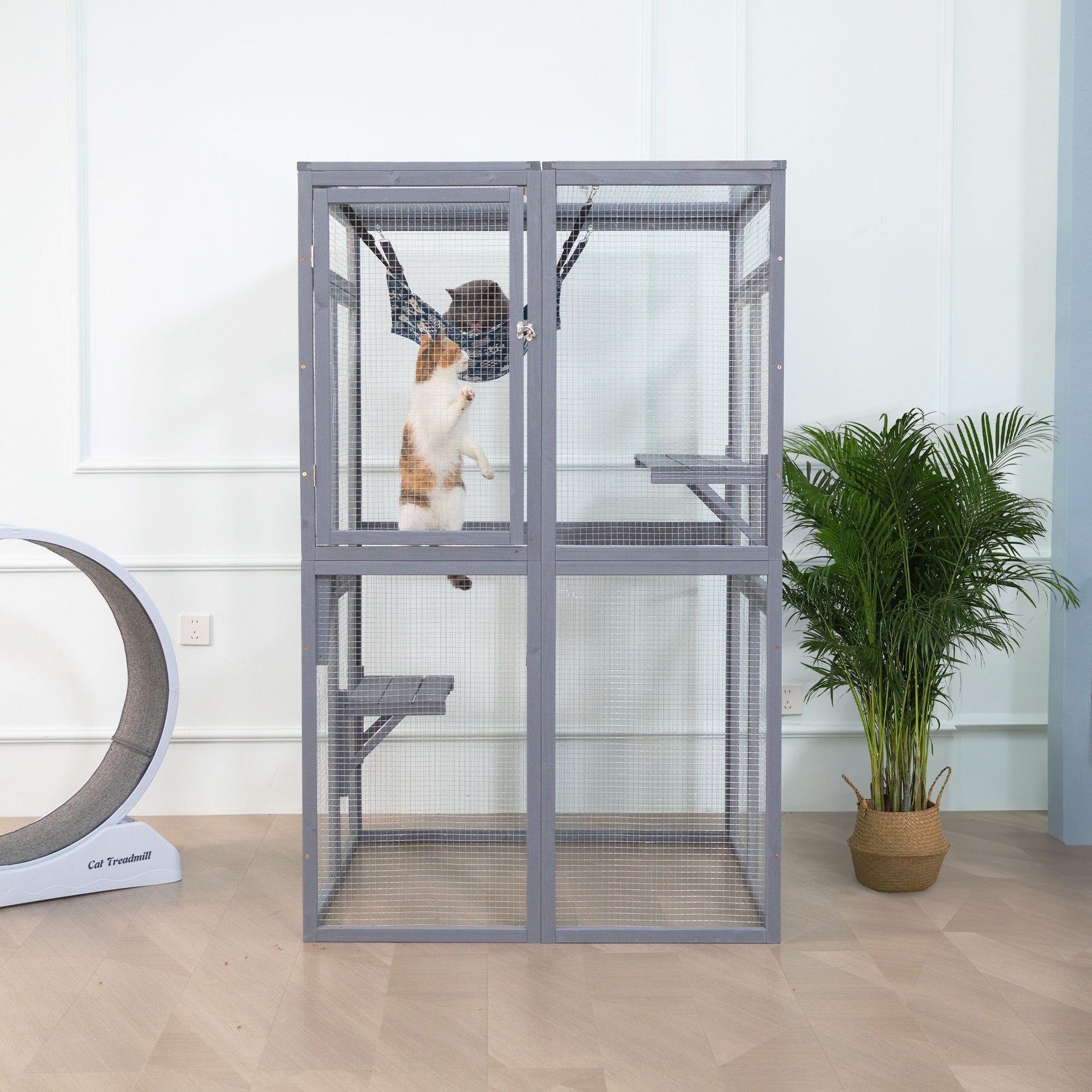 Wooden Cat Catio, Outdoor Cat Enclosure, Cat House with Platforms